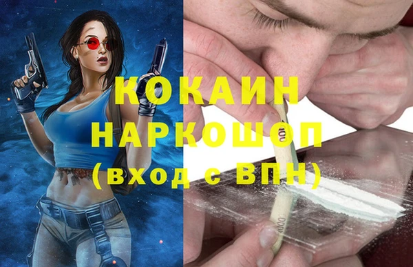 бошки Алексин