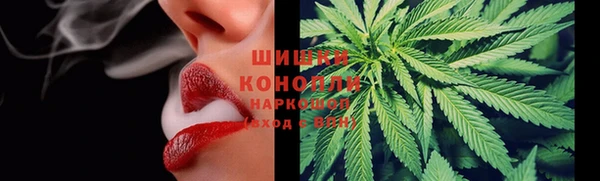 шишки Алзамай